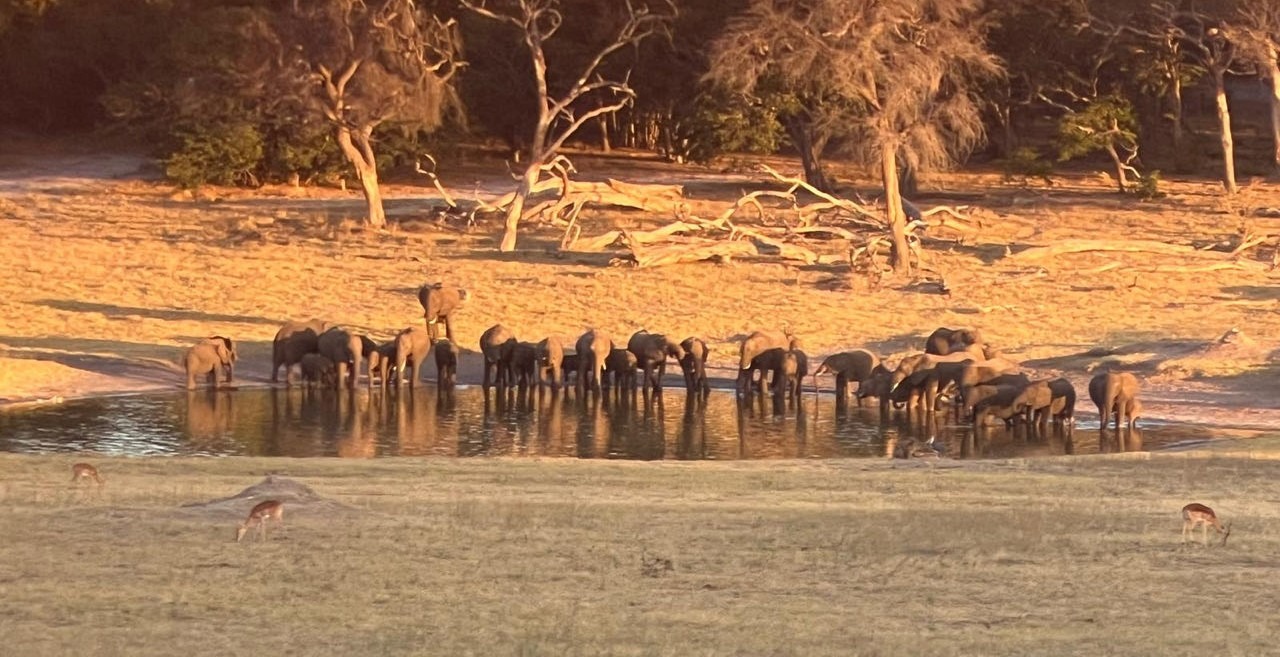 Reisverslag Zimbabwe: Impact van Gods Woord in de praktijk